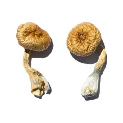 mdma pills for sale