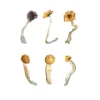 shrooms kit